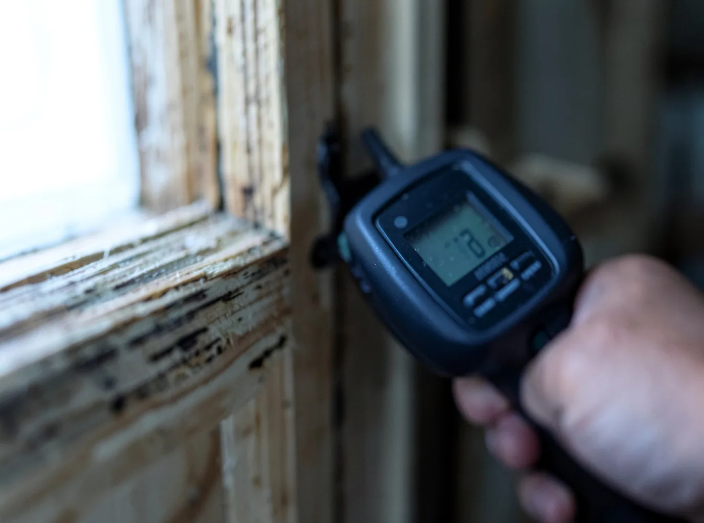 Moisture Inspection And Documentation in Faucett, MO